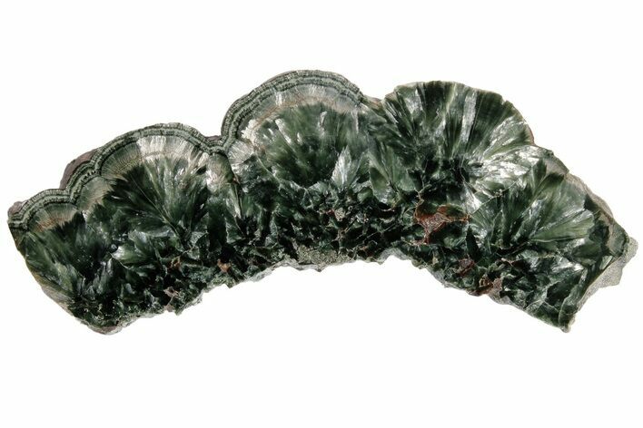 Polished Seraphinite Slab - Siberia #183472